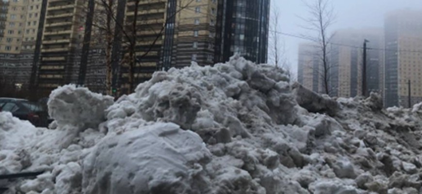 Петербуржцы пожаловались на неравенство в качестве уборки снега в разных районах города